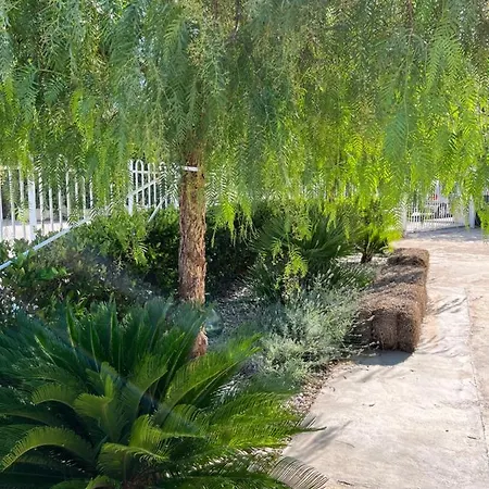 L'altramurgia Panzió